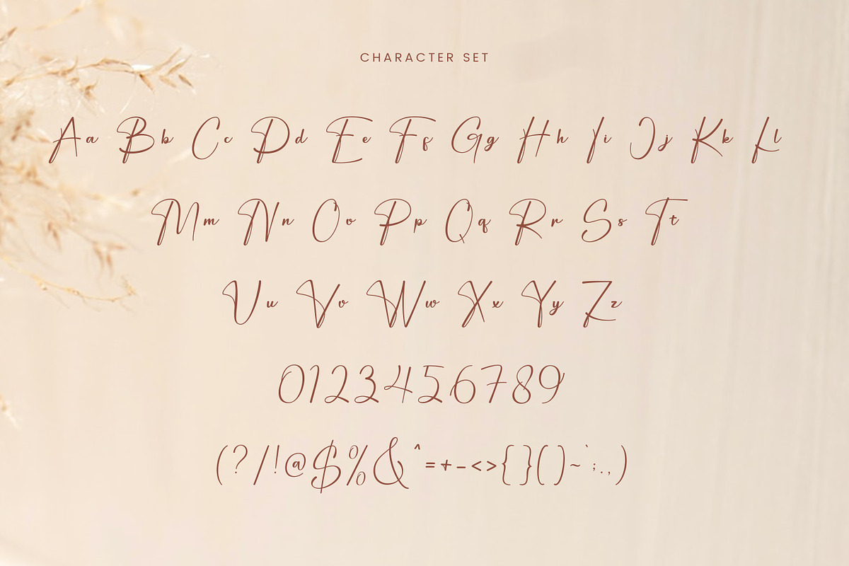 Ballory - Elegant Signature Font, a Script Font by Flawless And Co (Photo 9 of 10)