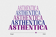 Gigestha Modern Serif (70 Fonts), a Serif Font by MjStudio31 (Thumbnail 4 of 14)