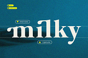 Bailon, a Serif Font by Zafiratype (Thumbnail 9 of 15)