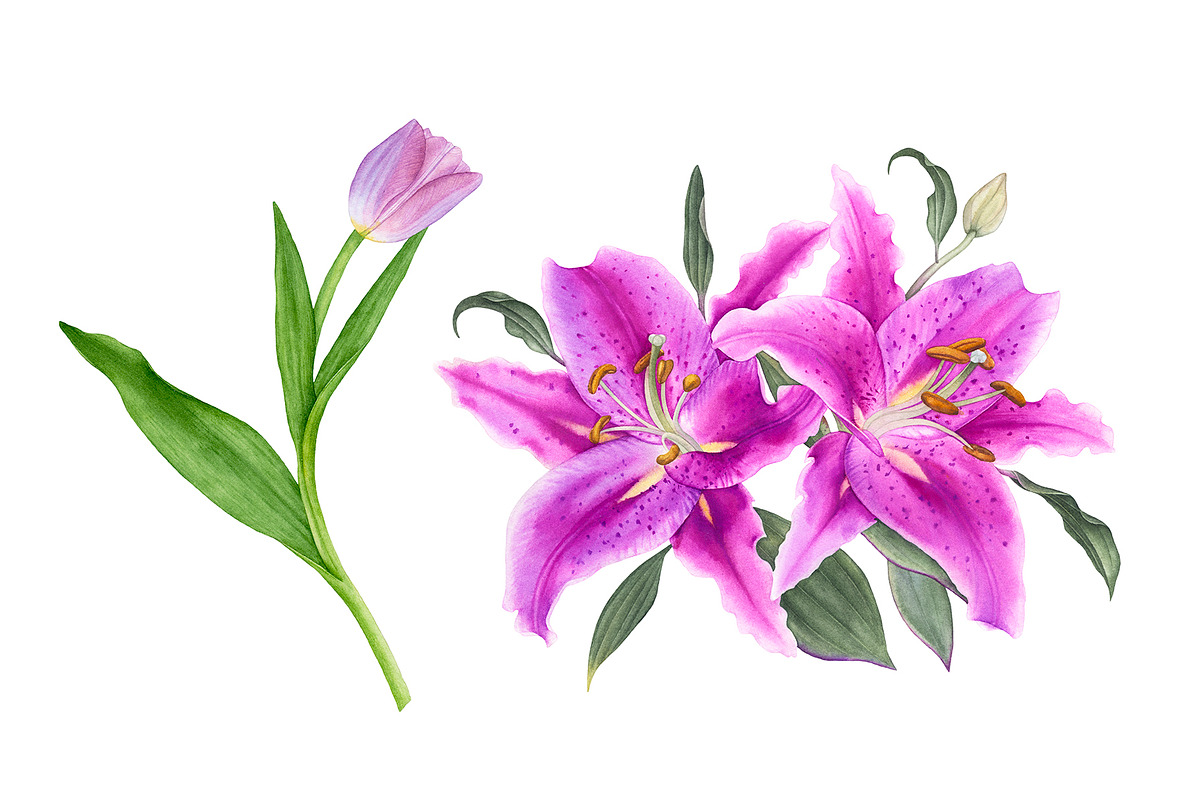 Watercolor Pink Flowers, an Illustration by Katya Zlobina (Photo 3 of 9)