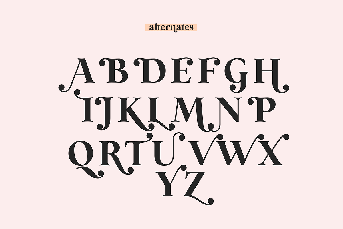 Wild Mango | Modern Serif Font, a Serif Font by KA Designs (Photo 23 of 24)