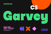 CS Garvey – Bold Font, a Sans Serif Font by Craft Supply Co. (Thumbnail 1 of 8)