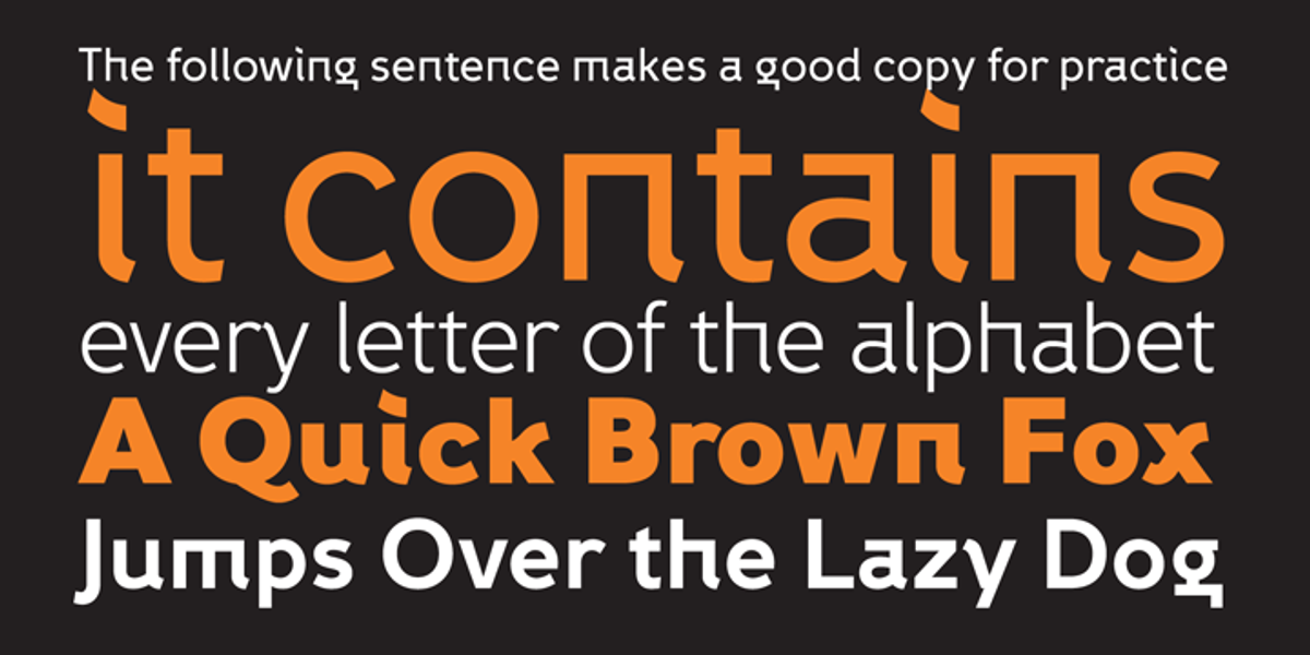 Fox Grotesque, a Sans Serif Font by TipografiaRamis (Photo 4 of 9)