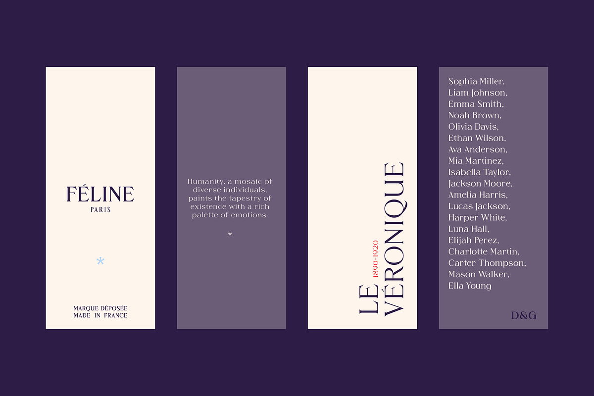 Grise - Variable Serif (18 Fonts), a Serif Font by VectorKiss GraphicsSupply (Photo 7 of 18)