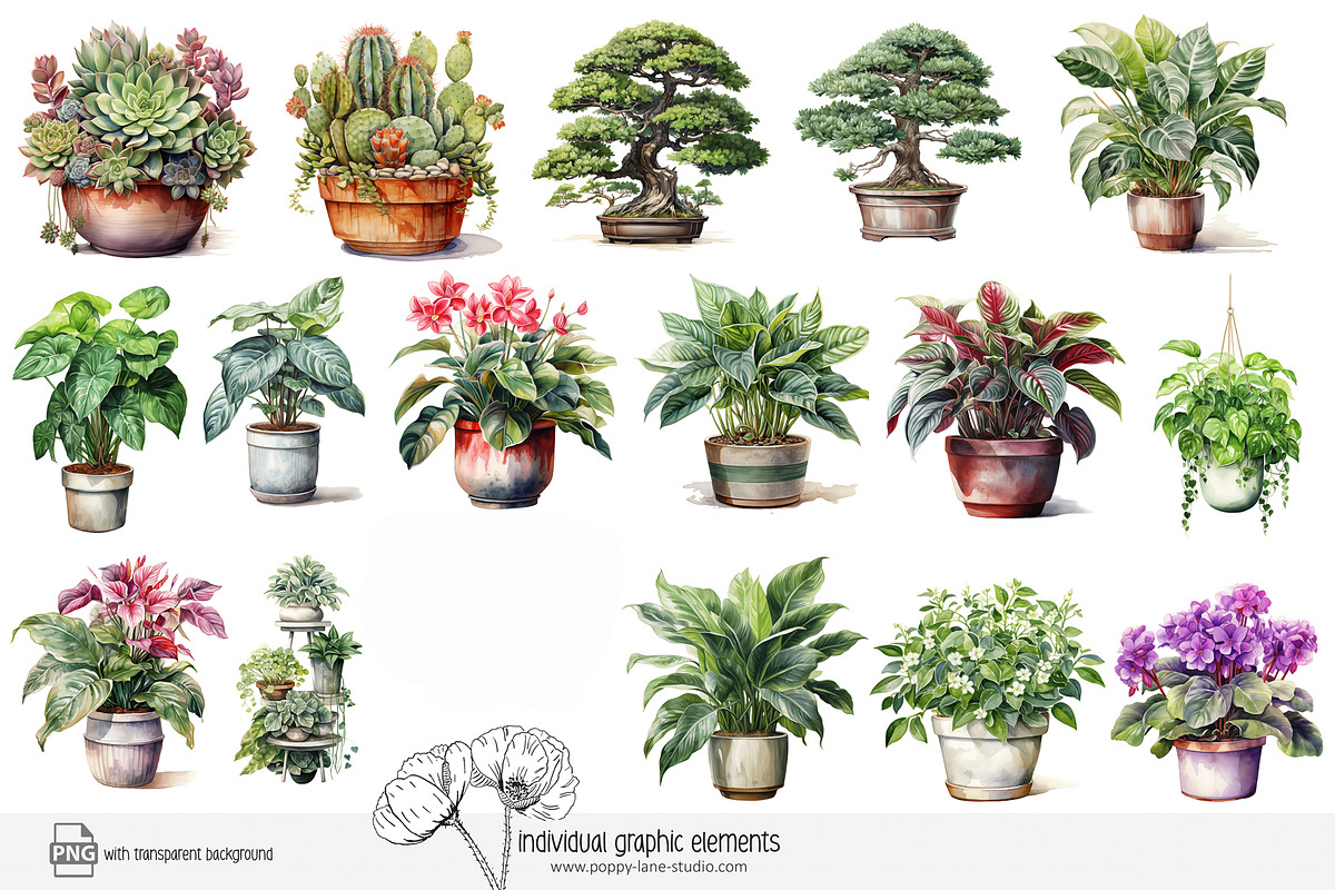 100 watercolor house plants clip art, a Seasonal Illustration by Poppy Lane Studio (Photo 6 of 12)