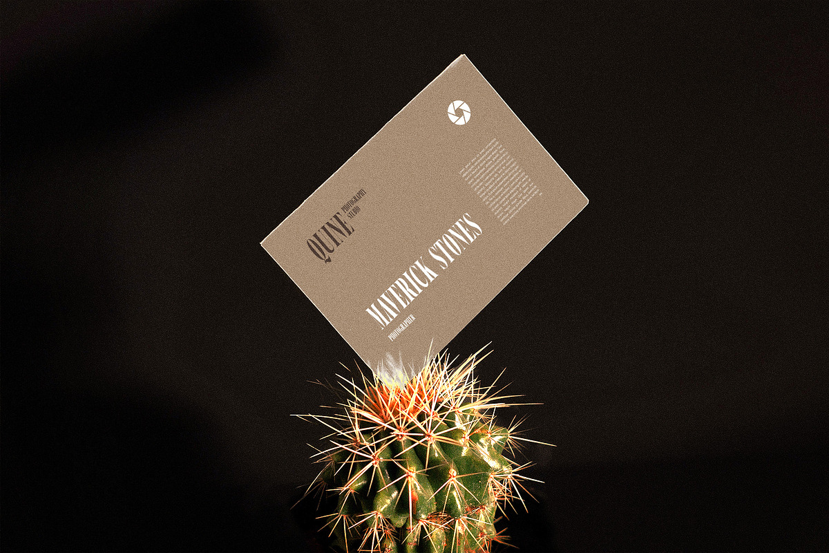 SureThing Elegant Serif Font, a Serif Font by Graphicxell (Photo 7 of 10)