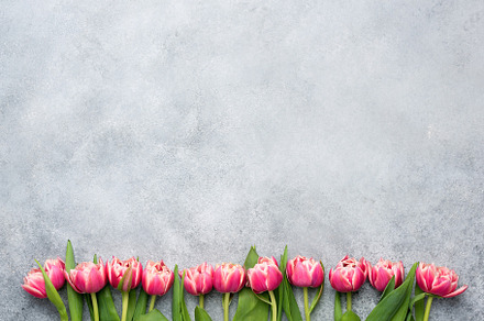 Pink peony tulips on grey concrete containing tulips, bouquet, and pink, a Holiday Photo by The baking man