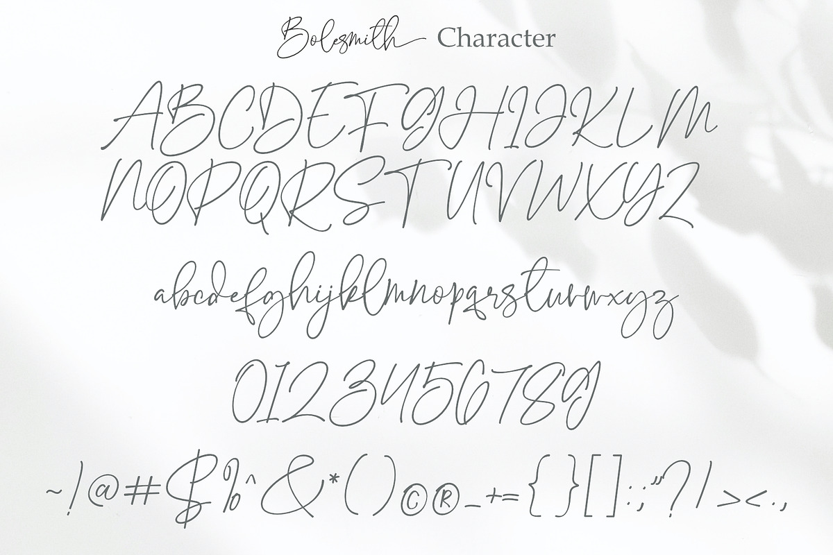 Bolesmith, a Script Font by Sealoung (Photo 14 of 17)