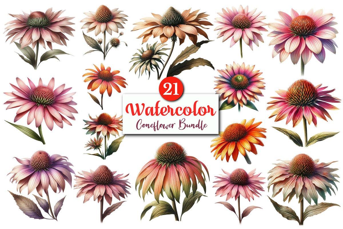 Watercolor Coneflower PNG Clipart, a Graphic by CitraGraphics (Photo 1 of 4)