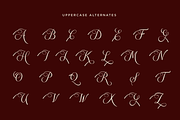 Elegant Wedding Serif - Rapodhite, a Serif Font by Font Liner (Thumbnail 10 of 13)