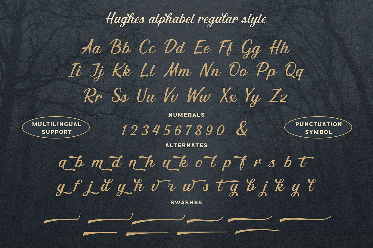 Hughes, a Script Font by Larin Type Co. (Photo 11 of 11)