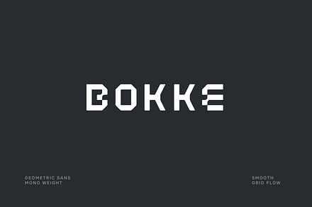 Bokke Tech Font, a Sans Serif Font by baqoos