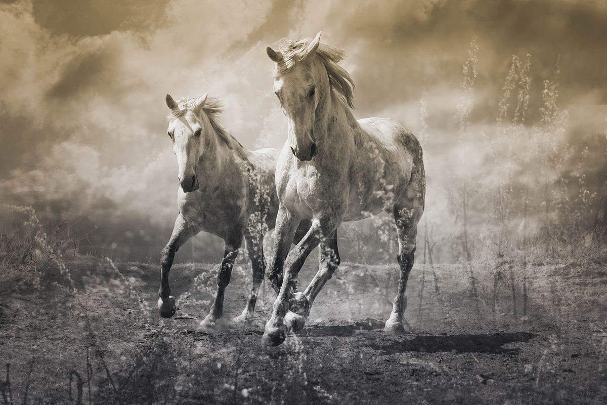 25 Dual Tone Landscape Presets, a Preset Add-On by Timeless Presets (Photo 7 of 10)