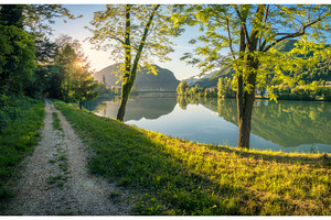 Green trees along river in alpine, a Nature Photo by den-belitsky