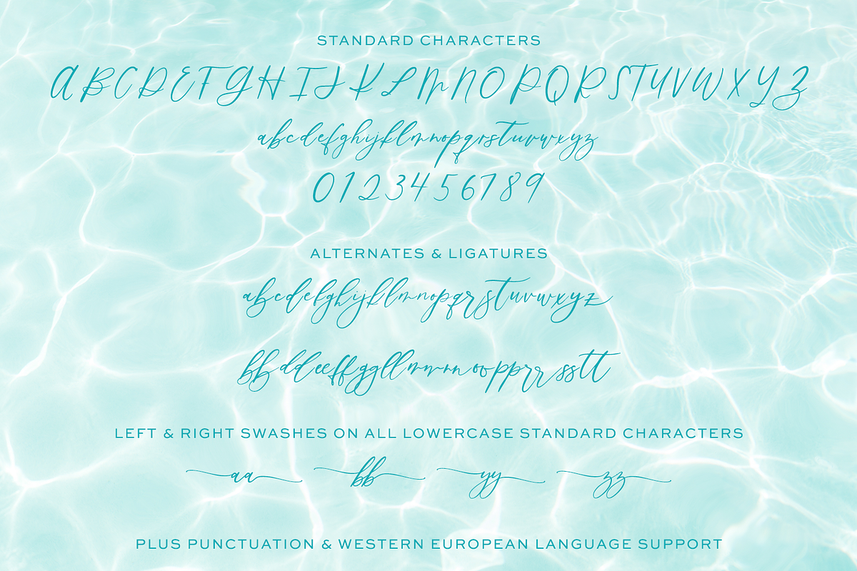 Palm Desert Modern Calligraphy Font, a Script Font by Beck McCormick (Photo 10 of 10)