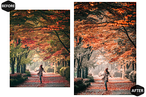 12 Autumn Breeze Photoshop Actions