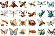 Vintage Spring Insect Clipart, an Illustration by Sublimation Artist (Thumbnail 2 of 6)