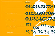 XXII Elissa, a Serif Font by Doubletwo Studios (Thumbnail 22 of 25)