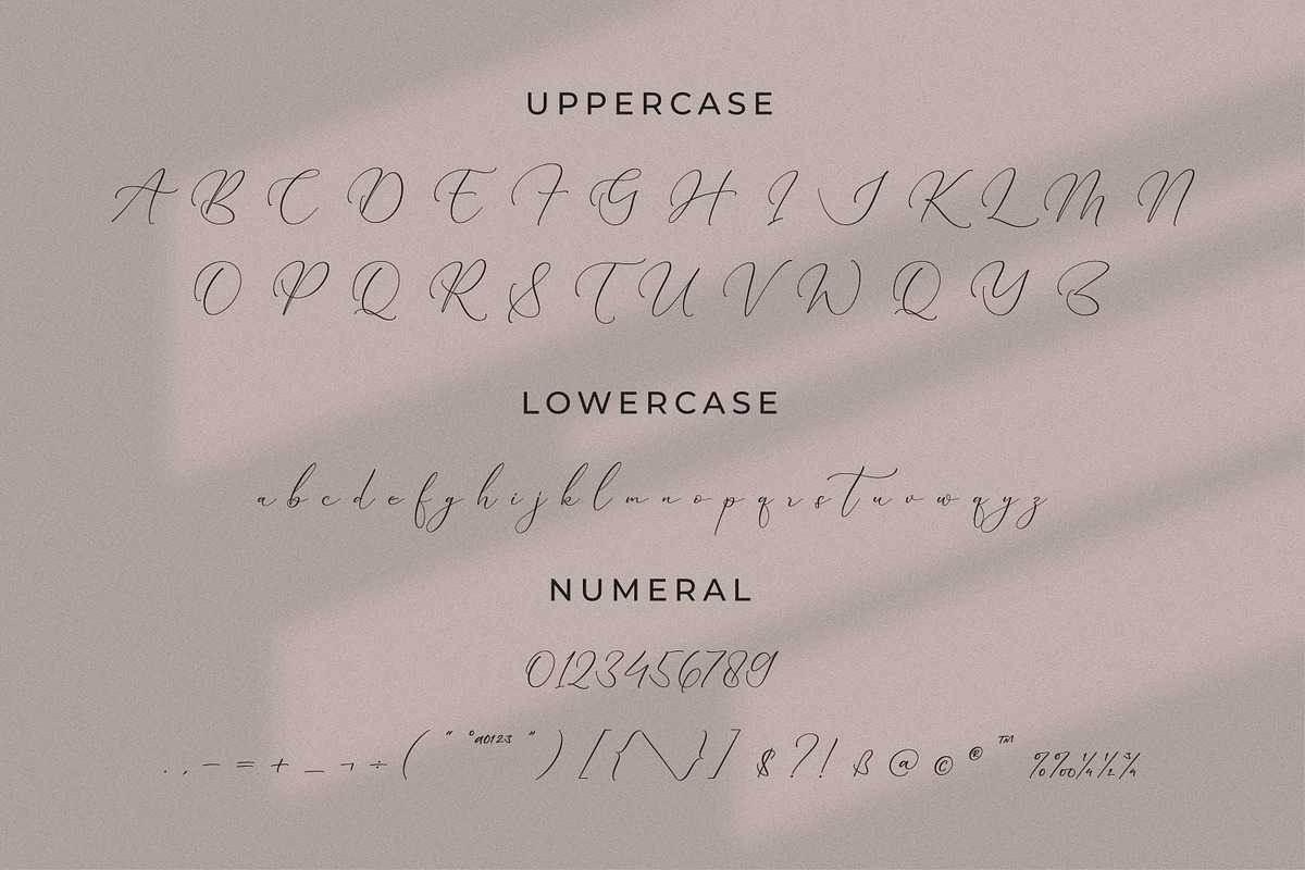 Qinarsi, a Script Font by Integritype Studio (Photo 9 of 15)