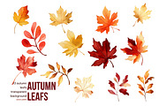 Autumn Dragons Clipart Set PNG, a Decorative Illustration by Floraphoria (Thumbnail 4 of 9)