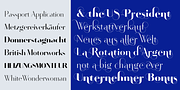 Artis, a Sans Serif Font by Wiescher-Design (Thumbnail 11 of 13)