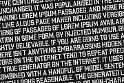 Brocket Flaming Display Font, a Serif Font by Storytype Studio (Thumbnail 9 of 15)