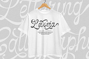 Selfino Script, a Script Font by Madjack.font (Thumbnail 6 of 12)