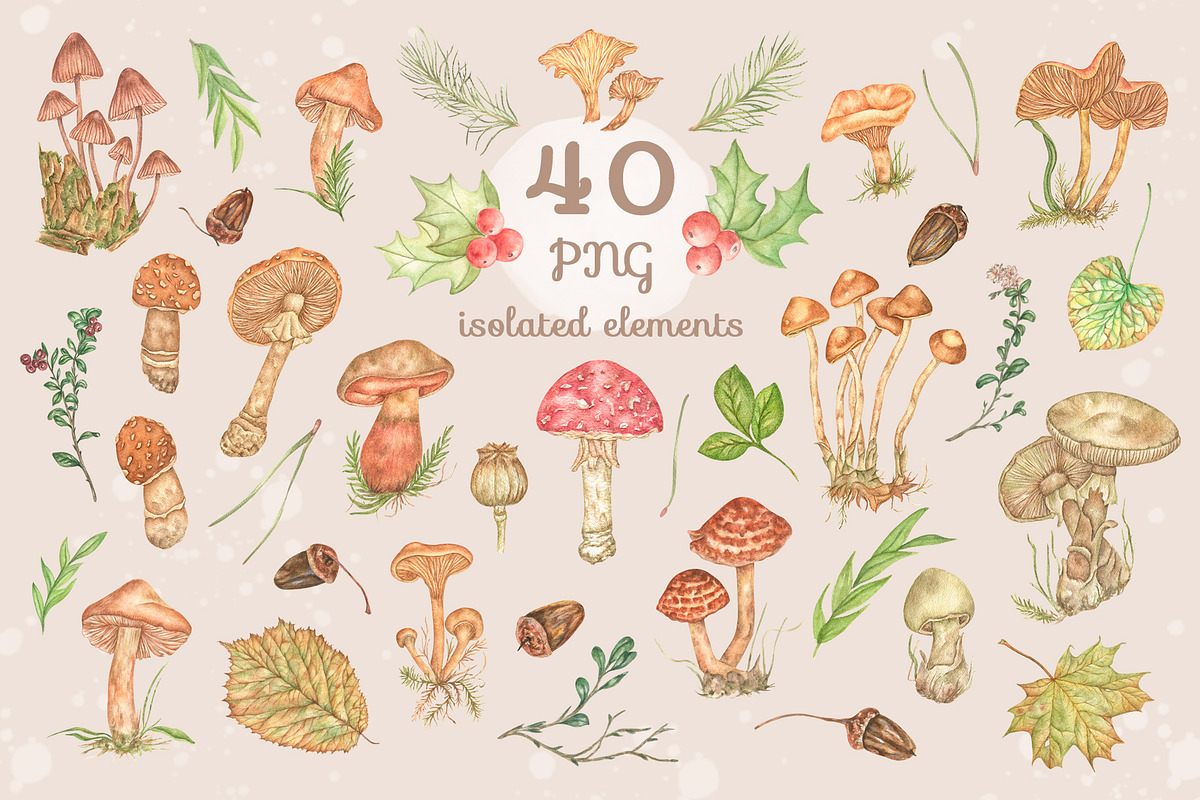 Forest watercolor mushrooms clipart, a Seasonal Illustration by Irina Avdeeva (Photo 3 of 12)