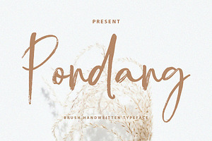 Pondang Brush, a Script Font by Realtype