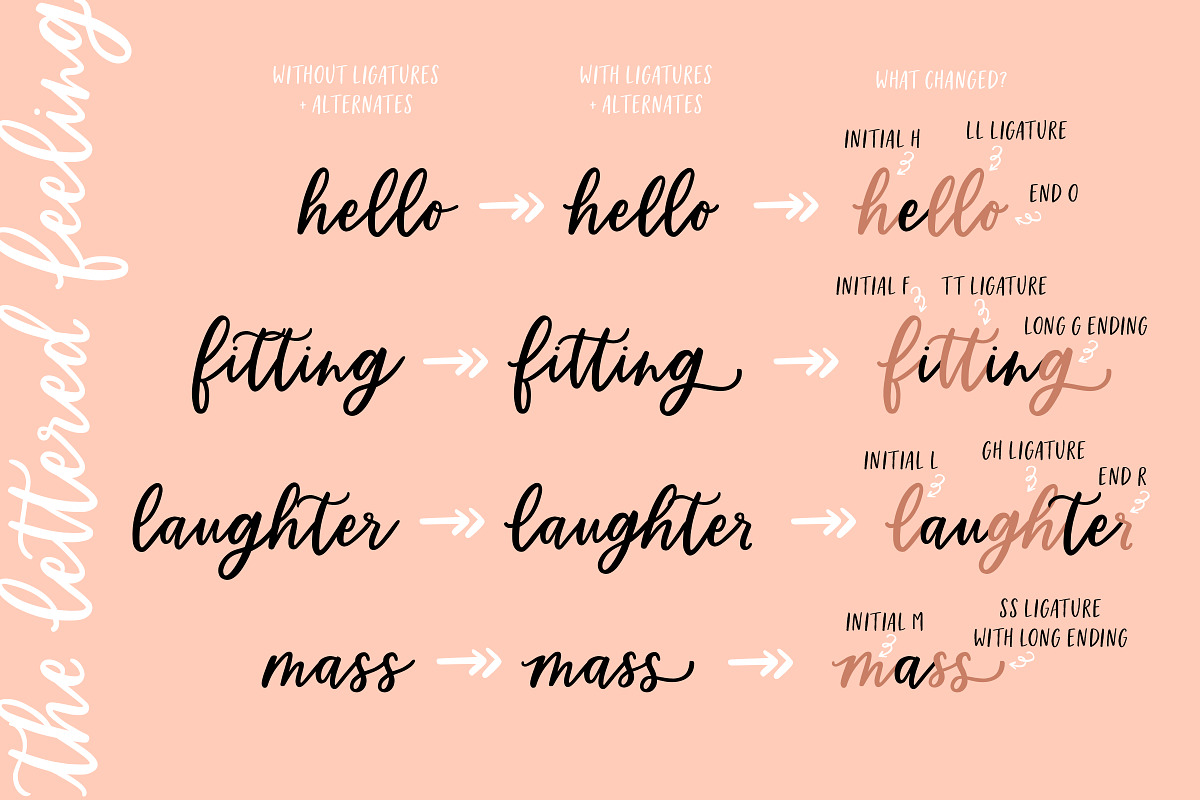 Homebody | Calligraphy Script Font preview 5