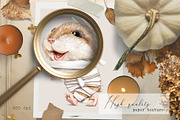 Halloween, an Animal Illustration by Mimomy (Thumbnail 4 of 11)