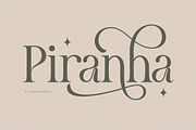 Meghan, a Serif Font by Flawless And Co (Thumbnail 5 of 9)
