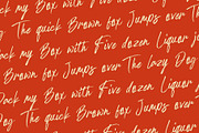 Palmetas, a Handwritten Font by Gatype (Thumbnail 5 of 10)