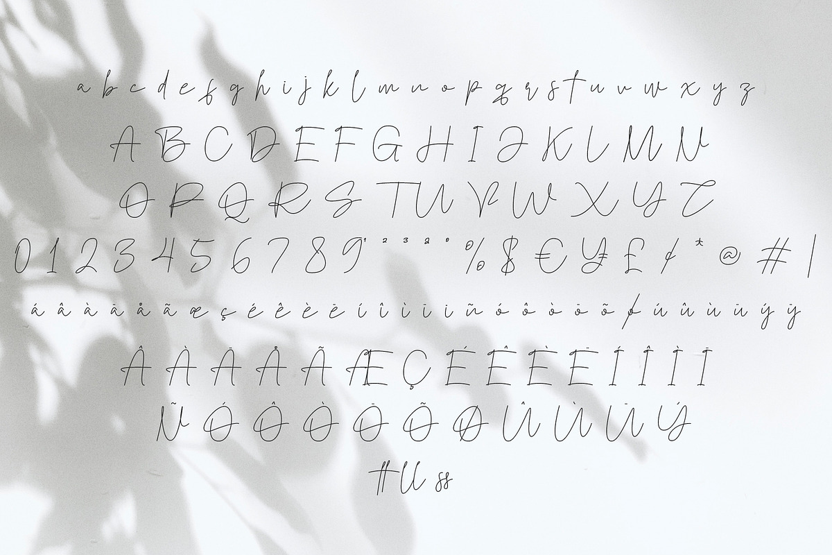 The Southern Font | Monoline Script, a Script Font by Jadatype.id (Photo 10 of 11)