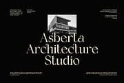 Ciesla Elegant Serif Font, a Serif Font by Graphicxell (Thumbnail 4 of 8)