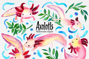 Clip art: "Axolotl" watercolor