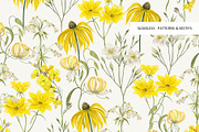 Summer Florals! Patterns & Motifs, a Pattern Graphic by HannaStudio (Thumbnail 4 of 10)