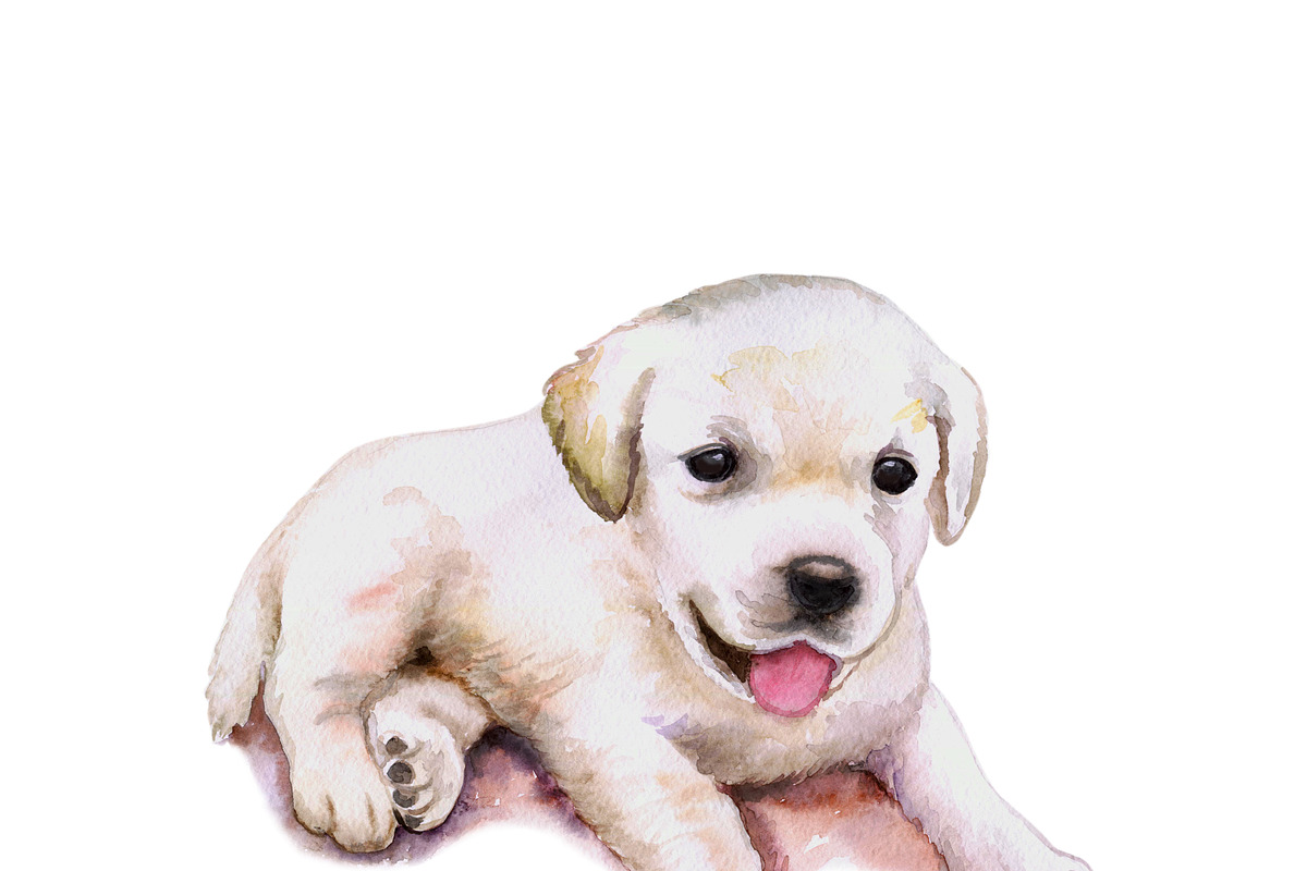 Watercolor Dogs Mega Big Bundle, an Illustration by Dneprstock (Photo 34 of 60)