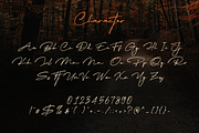 Migratory, a Font by Dumadistyle (Thumbnail 8 of 11)