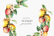 Watercolor Mango Clipart, a Decorative Illustration by ThaismotaCreativeCo (Thumbnail 5 of 10)
