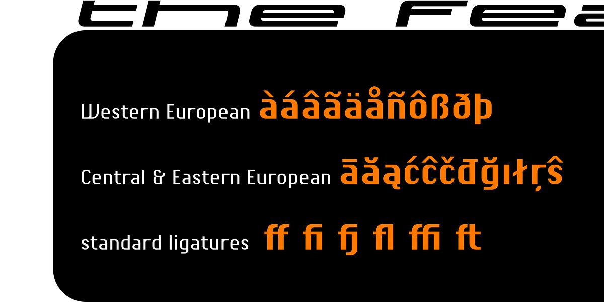 Chiq, a Sans Serif Font by ingoFonts (Photo 7 of 13)