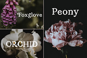 Persephone // A Hand-Drawn Serif, a Serif Font by Megs Lang (Thumbnail 14 of 25)