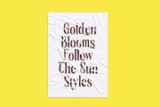 Rachon Bold Tall Display Serif, a Serif Font by timelesstype.co (Thumbnail 10 of 20)