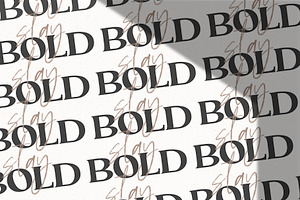 The Brywood - Script & Serif Fonts