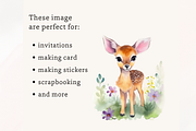 Watercolor Deer, Baby Deer Clipart, an Animal Illustration by TimCanvaTemplate (Thumbnail 2 of 4)