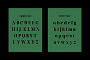 Memoriale - Logo Font, a Serif Font by RockboyStd (Thumbnail 9 of 12)
