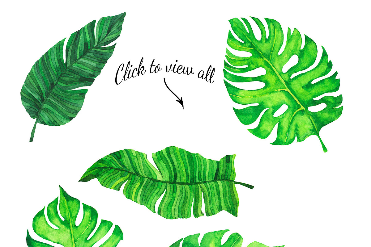 Tropic watercolor flower set, a Decorative Illustration by Watercolor & sketches (Photo 4 of 7)