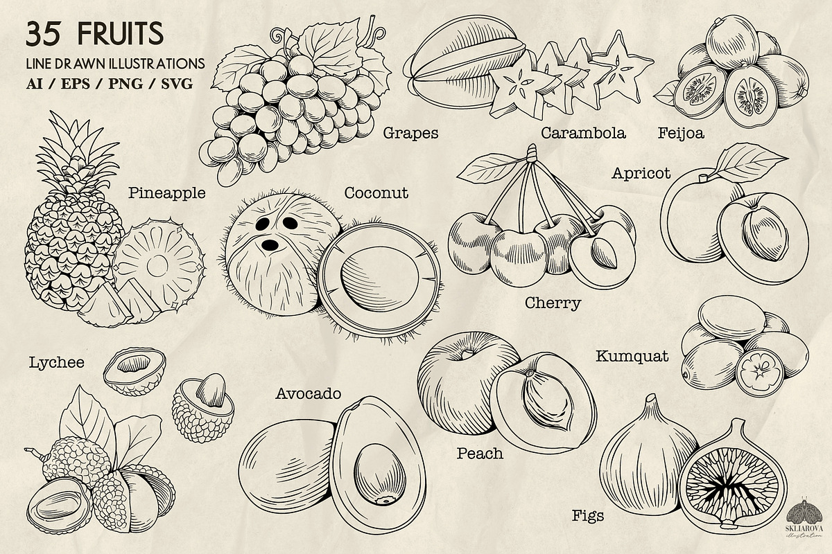 Fruits Line Art + Procreate, a Food Illustration by Skliarova (Photo 4 of 4)