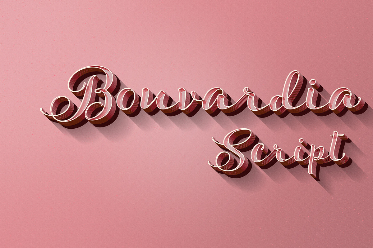 Bouvardia preview 7