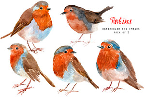 Watercolor robins - bird clipart